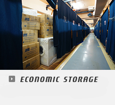 Economic Storage