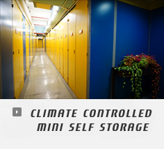 Climate Controlled Mini Self Storage