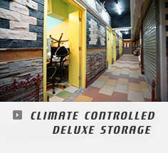 Climate Controlled Deluxe Storage