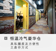 迦南迷你仓-恒温冷气豪华仓